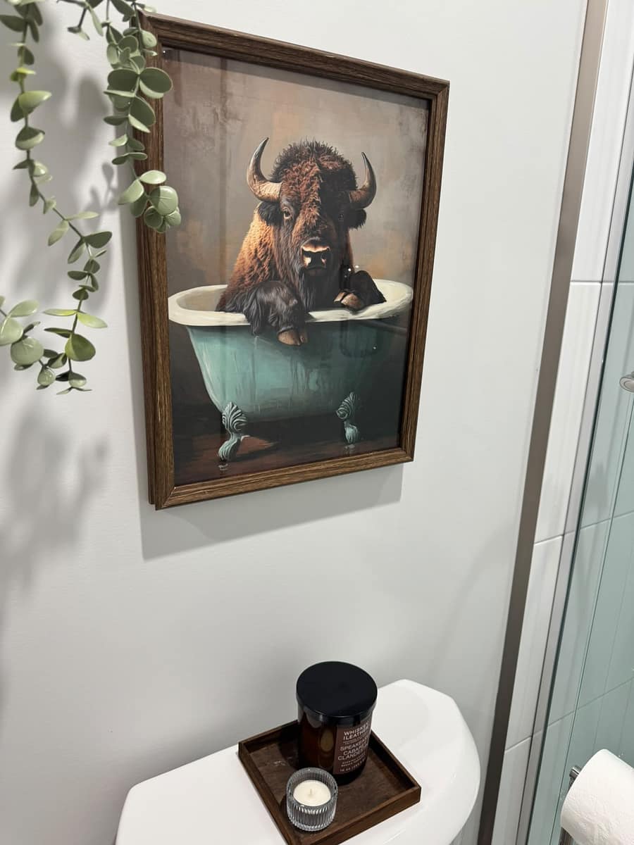 South Edmonton basement bathroom artwork and shower detail